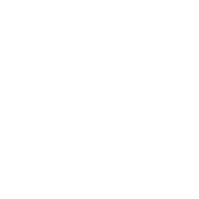 Lins-c